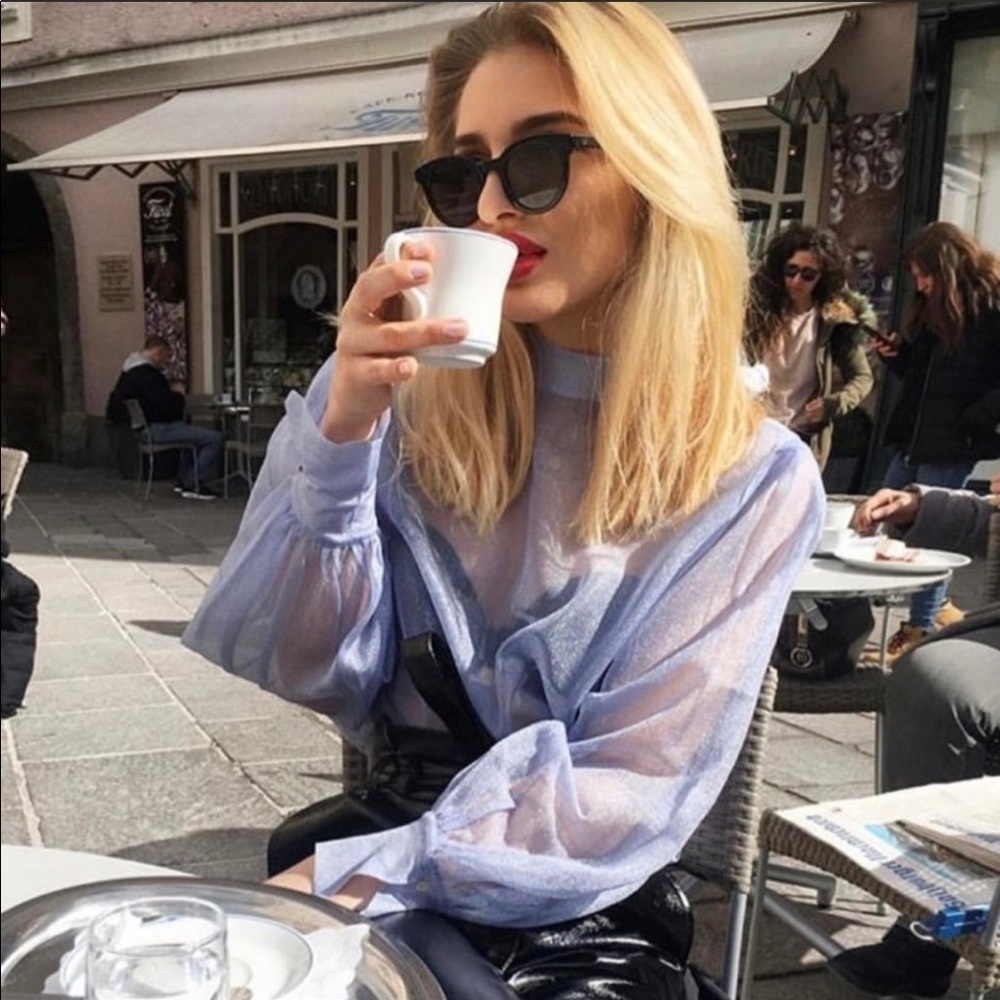 ZARA Sparkly Semi Sheer Top